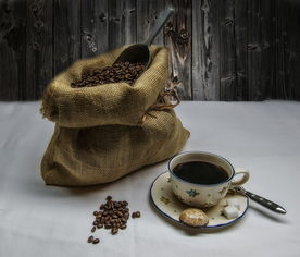 品牌水杯喝茶，品味生活新时尚