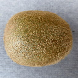 卫生纸品牌大比拼，最好的排名及深度解析