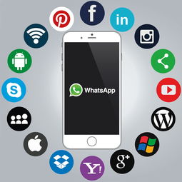 揭秘干洗品牌app—你的私人衣物护理专家