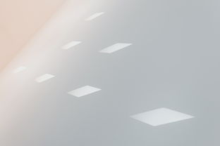 广西墙面艺术漆品牌深度解析