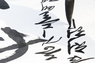 书法品牌运营方案范文大全，打造书法艺术新天地
