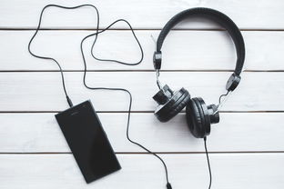手机品牌耳机深度解析，音质、设计与功能一网打尽