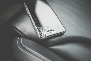 揭秘国内最贵鼠标品牌，价格背后的故事与价值