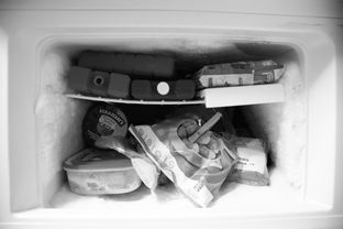 揭秘冰箱界的冰实力—各大冰箱品牌全解析