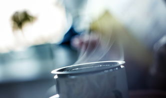 阳江市奶茶品牌大比拼，热门排行与深度解析