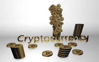 国外做蛋糕的工具品牌大解析