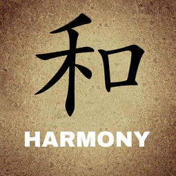探寻五个字品牌书法字体的独特魅力