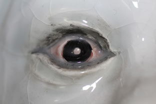 陶瓷品牌活动大揭秘，如何玩转陶瓷文化，吸引消费者眼球