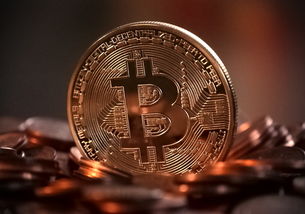 世界十大CPU品牌全解析，从性能到应用，一文带你了解