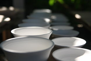 陶瓷碗品牌大盘点，哪个牌子值得你拥有？