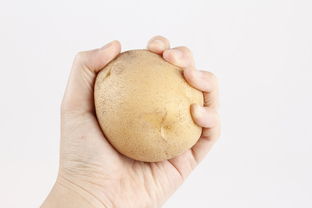 哪个品牌卫生纸不过敏？挑选适合你的卫生纸品牌