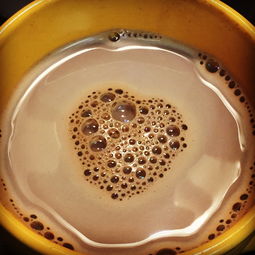水杯品牌推荐成人必备的水杯选择指南