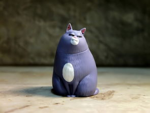 品牌猫猫玩具，选购、体验与口碑分享