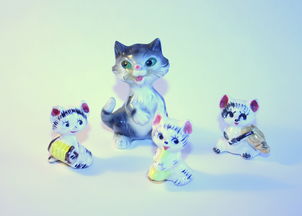 品牌猫猫玩具，选购、体验与口碑分享