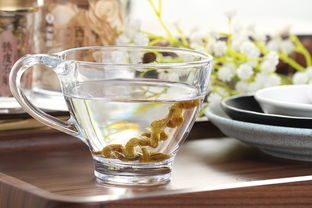 坡璃品牌水杯—凉水杯界的清新代表