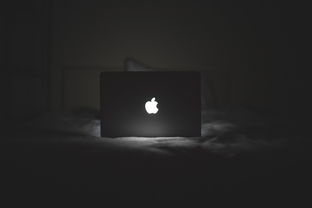 品牌电脑耳机深度解析，音质、舒适度与性价比的完美结合