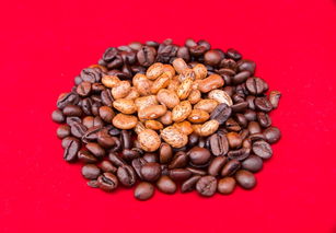名字含铁的茶叶品牌，历史、特色与市场影响力