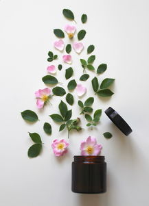 水杯中的璀璨—钻石水杯品牌推荐指南