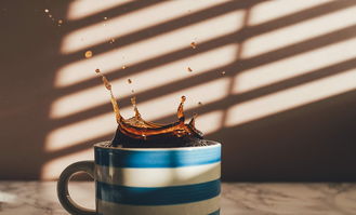 奶嘴和吸管杯哪个品牌好？深度解析给你答案