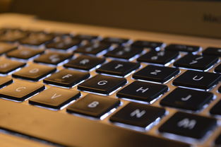 MacBook Air鼠标品牌推荐，让你的操作更得心应手！