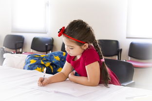 十大小孩喜欢的玩具品牌大揭秘，孩子们的心头好，家长们的选购指南