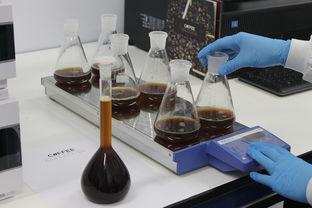 揭秘水杯品牌成人市场，那些你不知道的秘密