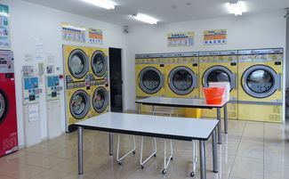福建全自动卫浴品牌排行