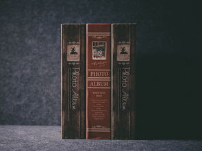 卫生纸性价比超高的品牌大解密，你真的选对了吗？
