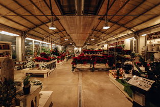 打造厨具市场新势力—品牌厨具招商攻略