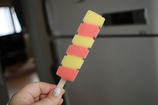 奶嘴雪糕推荐品牌排行榜，夏日冰爽之选大解密