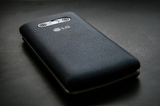 LG冰箱，揭秘其品牌定位与市场表现