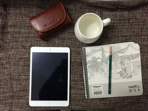 探索苹果设备相册的多样性—从iPhone到iPad