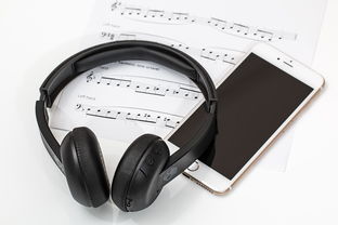 有什么微型蓝牙耳机品牌？一文带你了解那些小巧玲珑的好音质