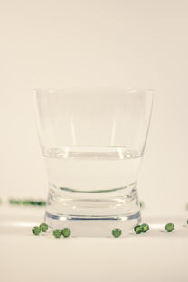 揭秘宠物水杯品牌排行，哪些品牌让你爱不释手？