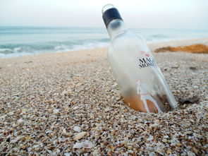 沐浴露夏季品牌推荐，夏日清凉之选，你选对了吗？