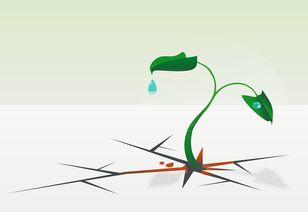 揭秘水滴水龙头品牌—绿色生活，从点滴开始
