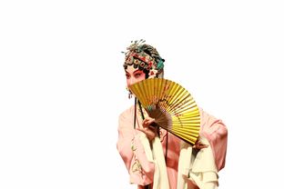 5岁小女生的汉服品牌—传统与时尚的完美融合