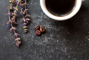 奶茶微甜是品牌吗？一文探究竟