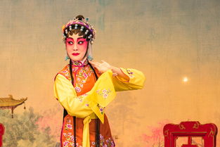 鹤舞墨香，一衣一世界—揭秘有鹤有书法的独特服装品牌