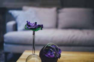 揭秘娃娃专用沙发品牌，打造宝宝用餐时光的温馨角落