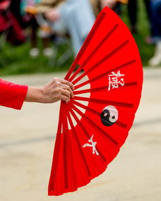 探索梅红色舞蹈服的魅力