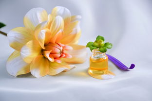 盘点国内植物洗面奶品牌，美丽肌肤从洗开始！