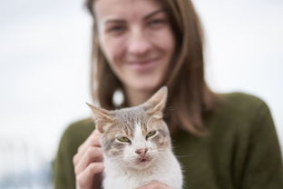 猫咪干洗粉大揭秘，这些品牌让你轻松解决猫咪毛发问题！
