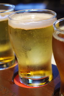 品牌水杯，居家生活的贴心小物