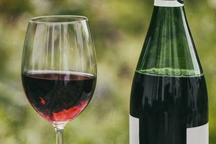 上海液态发酵白酒品牌探秘