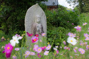 揭秘台州市防火仿真植物品牌，绿色环保，安全美观两不误