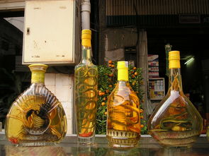 探索西餐红酒世界，精选品牌与搭配指南