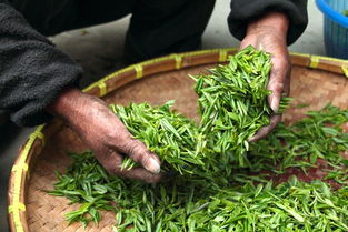 最尴尬的茶叶品牌排名，谁在其中尴尬？