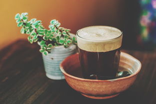 什么品牌的茶叶比较好？一篇带你了解优质茶叶品牌