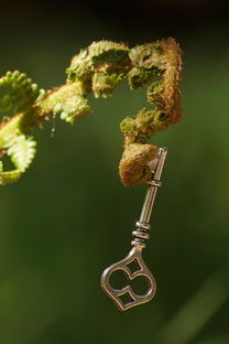 绿色扣子，旗袍的时尚密码